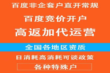 案例解析：网络推广竞价技巧