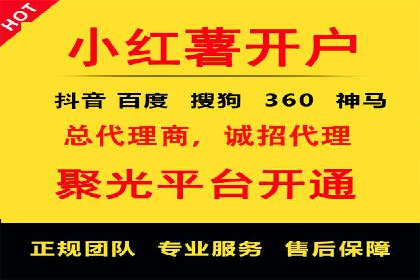 Sem优化公司成功案例：快速占领市场
